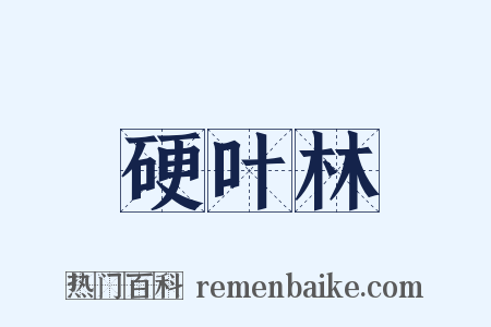 硬叶林是什么意思的图片